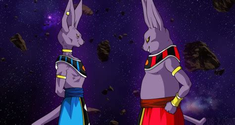 what is beerus race called.